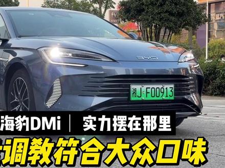 海豹DMi 底盘调教家用很赞,纯电再长一点 那友商就真招架不住了 #比亚迪海豹