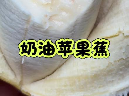 比普通香蕉更软糯的胖胖苹果蕉,清香酸甜奶油口感,实惠好吃! #软糯香甜 #苹果蕉 #香蕉软软糯糯的 #自熟蕉