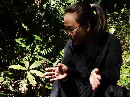 不是那抹光今年我们就拍不到七叶一枝花的蒴果了,还好没放弃,感恩相遇! #一日一植物 @抖音小助手