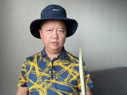 哄狗睡觉,狗狗会赚钱给你养老么?