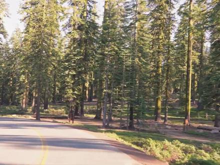 牢A:弯弯的处世哲学谁也不得罪各位都是爷 #牢A #斯奎奇大王