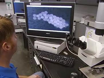 废塑料瓶回收变身纺织面料@废物利用#变废为宝 #新材料 #废物利用 #化纤 #新型材料 #@抖音小助手 #极度舒适 #纺织 #裁缝