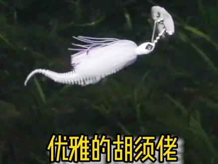 路亚假饵水下泳姿大全#路亚 #路亚假饵