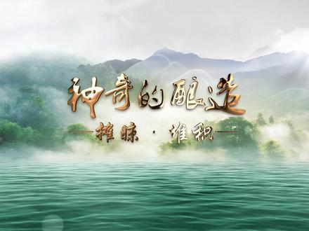 酒里乾坤大,壶中日月长。酒神—神奇的酿造!终#酒神 #纪录片充电计划