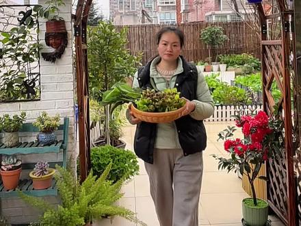 70后不出门,不社交,在100平Q Q农场#养花种菜#vlog日常