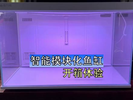 画法几何的这个智能模块化鱼缸创意倒是很新鲜,但是缺点也很明显,当然,这有可能是我的缺点。你们感觉如何?#智能鱼缸 #模块化鱼缸