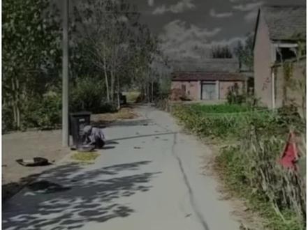 #印度一邦暴发尼帕病毒疫情,该病毒主要由果蝠携带,可直接人传人,死亡率40%-75%,尚无疫苗和有效疗法#印度爆发致命疫情#多国加强监测应对印度疫情#尼帕病毒#热点