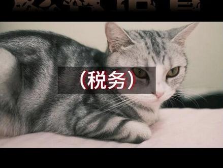 会计人员终身追责