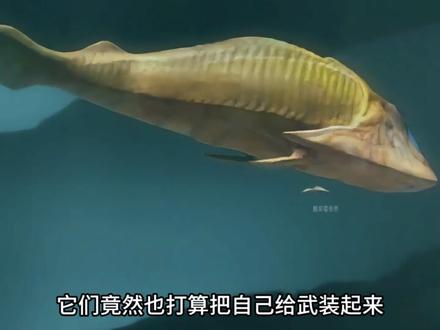 第一视角带你穿越回4.6亿年前,你会见证哪些可怕生物 #奥陶纪 #房角石 #古生物