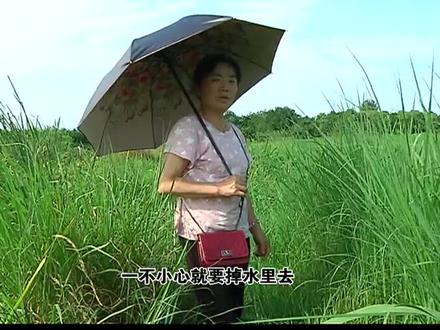 因病返贫,村路乱,乡亲农产品卖不出去,如“与世隔绝”!#精准扶贫 #乡村小路