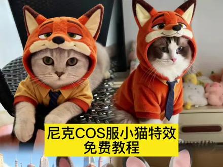 #兔子警官衣服猫咪 #尼克狐尼克猫咪衣服 #兔子警官衣服猫咪ai #即梦ai 兔子警官猫咪ai 兔子警官衣服猫咪教程 兔子警官衣服猫咪 兔子警官cos服热 尼克狐尼克cos服猫咪 兔子警官宠物衣服 给猫咪穿的兔子警官衣服 兔子警官护理衣服猫咪疯狂动物城图片 疯狂动物城ai合照 疯狂动物城图片素材 兔子#朱迪警官宠物cos服 兔子警官 cos服宠物 疯狂动物城萌宠cos 兔子警官宠物衣服 兔子警官 cos服秋冬款 兔子警官 cos服猫咪 兔子警官宠物cos服套装 兔子警官 cos服热 兔子警官宠物 COS服装疯狂动物城猫咪 疯狂动物城猫咪衣服 疯狂动物城宠物ai指令兔子警官cos服 兔子警官 cos服猫咪 兔子警官 cos 服宠物 兔子警官 cos服热 兔子警官 cos服 ai 兔子警官猫咪衣服 兔子警官 cos服壁纸 兔子警官 cos服拍照猫咪兔子警官特效套装 给猫咪穿的兔子警官衣服 抖音兔子警官猫咪特效
猫咪兔子警官衣服 兔子警官猫咪cosplay套装 尼克cos服小猫教程
尼克狐尼克cos服猫咪 尼克 cos服自搭秋冬 尼克cos 服小猫 尼克狐尼克cos服