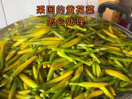 从大草原采回家的黄花菜,怎么吃?怎样保存起来?