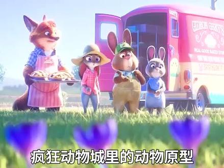 疯狂动物城中的动物原型都是什么@抖音小助手 @DOU+小助手 #疯狂动物城 #科普 #动物