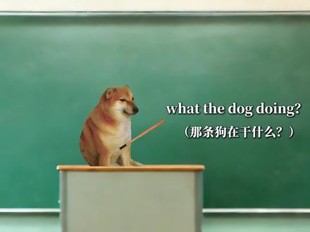 “我的刀盾” #猫meme #cheems #我的刀盾