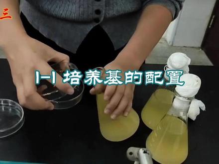 培养基的配置#高考 #高中生物