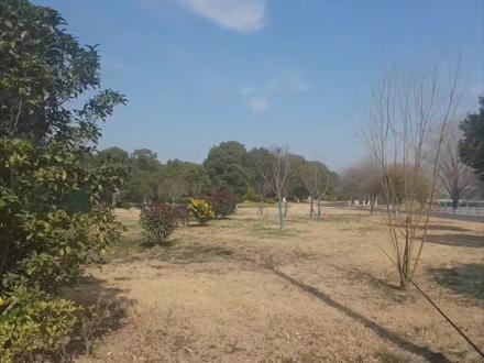 路亚能不能上鱼啊?
#渔政执法 #渔政#路亚 #跑毒