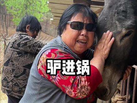 天上龙肉,地下驴肉!果然名不虚传!#我的乡村生活 #转转app #转转二手 #家有一老如有一宝