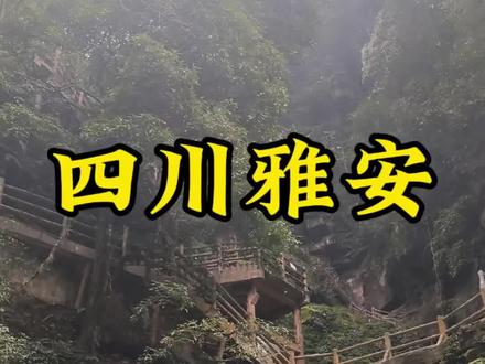 走遍所有5A景区第67站,四川雅安碧峰峡。#碧峰峡景区 #大熊猫基地 #5a级景区
四川所有的5A景区都逛完了,体验及推荐排序过一两天再发,景区有点多不太好排序。