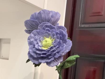 露莲花花语:富贵、吉祥、乐观。#手工作品 #扭扭棒 #教程 #手工教程#手工爱好者
