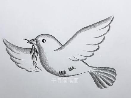 简单几笔画和平鸽 #学会快去试试吧🔥 #零基础学画画 #简笔画