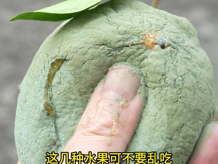 这些夺命水果要扔掉! #水果 #科普 #涨知识 #冷知识