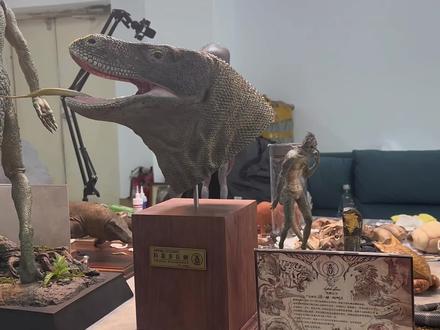 开箱本工作室1比1科莫多巨蜥头雕#模型 #手办 #爬宠 #科莫多巨蜥 #开箱