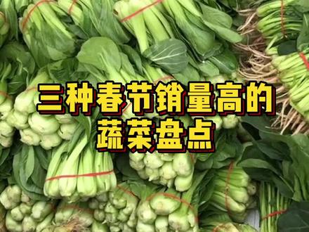 春节畅销的三种蔬菜盘点,几乎家家必备,想不赚钱都难#蔬菜 #农业 #春节 #新农人计划2022 @抖音小助手