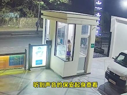 雄狮闯进居民小区#神奇动物在抖音 #监控下的一幕 #内容过于真实 #惊悚悬疑