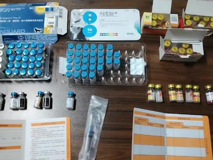 在家给狗打一套进口的疫苗,需要多少钱?