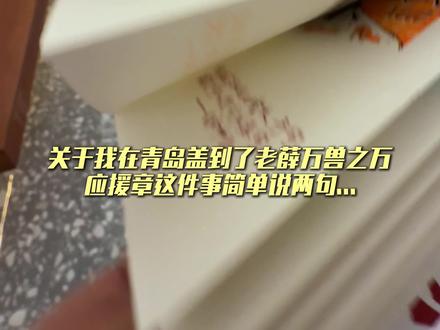 关于我在青岛盖到了老薛万兽之王应援章这件事简单说两句…#薛之谦 #青岛 #薛之谦演唱会 #盖章 #薛之谦青岛演唱会