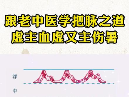 虚脉主血虚,也主被暑气所伤...#虚脉 #脉诊 #把脉 #脉象 #中医传承 @DOU+小助手