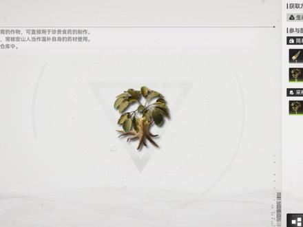 重生之我在武陵种人参 #明日方舟终末地 #终末地公测