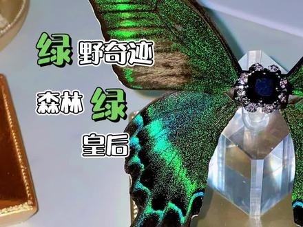 曾是惊鸿照影来的上一句是什么?#标本 #戒指 #蝴蝶