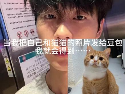 好有爱好喜欢,和猫咪相拥合照ai指令教程来啦! #豆包 #豆包ai #豆包P图已经nextlevel了 #和宠物合照#和宠物合照指令 和猫咪合照 和自家萌宠合照