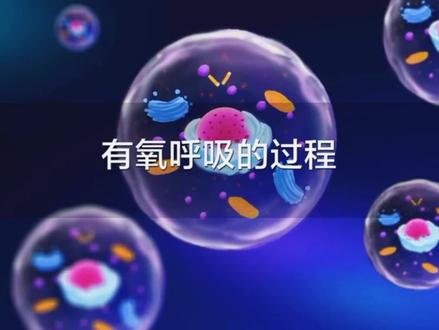 有氧呼吸的过程#创作灵感 #细胞呼吸 #高中生物 #必修一生物 #细胞代谢 #能量 #科普一下