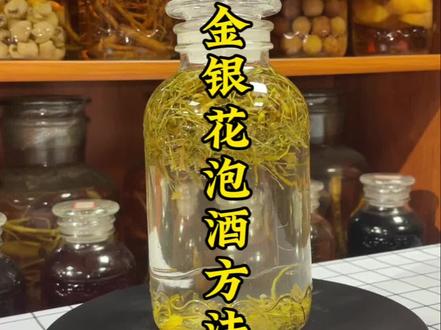 金银花怎么泡酒呢? 金银花泡酒方法来咯!#老陈泡酒日记