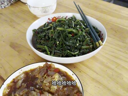 文文从学校回来感觉瘦了好多 说学校的饭菜太难吃了