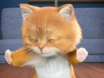 我保证小猫很正常很happy#小猫happy歌 #喵小腾 #轻漫计划