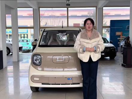 3分钟讲解一汽奔腾小马#一汽奔腾小马 #奔腾小马 #新车代购 #微型小电车#龙口新车