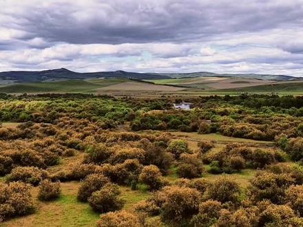 “奶奶牌”驼绒裤成爆款!#内蒙古小伙靠一条驼绒裤带领家乡2万人增收 #新消费图鉴