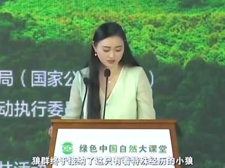 这份守护,从来都不是为了一只狼,而是为了整个狼群#重返狼群 #李微漪#格林