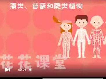 七年级上册生物人教版《藻类。苔藓和蕨类植物》,趣味动画视频+同步学校教材+覆盖重难点+思维导图记忆。#七年级上册生物 #动画 #知识分享