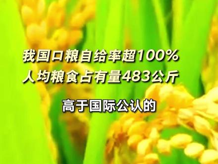 我国口粮自给率超100% 人均粮食占有量483公斤#粮食