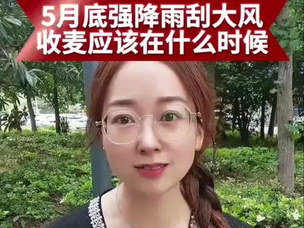 5月下旬极端天气即将来临,收小麦的老乡要注意#小麦成熟期#小麦价格 #三农