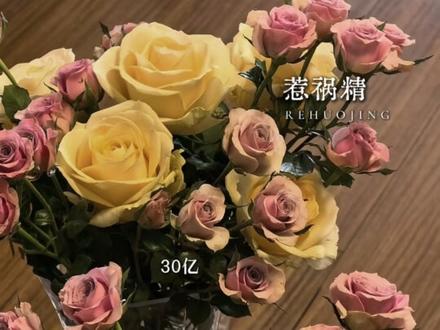 简直是天选比格饲养员 #惹祸精 #徐宇隆 #孙睿扬 #广播剧 #猫耳FM