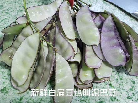 炒肉丝怎样炒好吃又嫩 719909ebfd35919e4ab641e99a32ed52~tplv-dy-resize-origshort-autoq-75:330.jpeg?x-expires=2007266400&x-signature=ZYX2tGCfaoEN5r6%2BgO4vBFwsC6E%3D&from=3213915784&s=PackSourceEnum_AWEME_DETAIL&se=false&sc=cover&biz_tag=pcweb_cover&l=20230813145659B513BF139ABDB95506C0