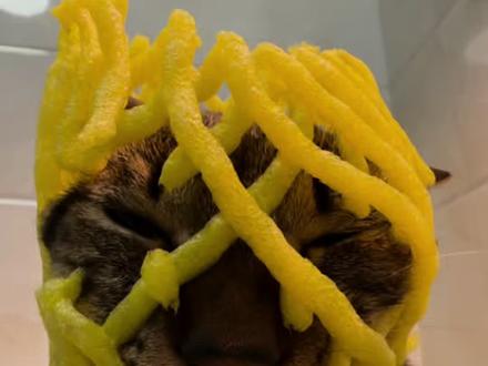 姐姐平时都化这么浓的妆嘛!#猫猫猫猫猫猫猫猫猫猫 #聊天 #绿茶 #神奇动物在抖音