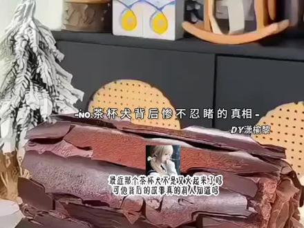 茶杯犬背后惨不忍睹的真相 官方也别压热度 谢谢#潇榆黎#落日甜心#流量
