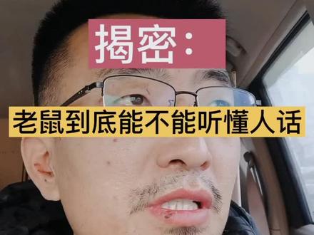 老鼠能听的懂人说,纯是胡扯蛋,这个用得着科学解释吗?#创业 #灭鼠#灭鼠方法