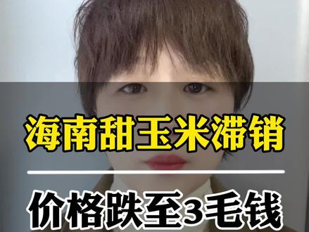 海南甜玉米滞销,价格跌至3毛钱!#热点#三农#海南#农业种植 #蔬菜种植 #老百姓关心的话题